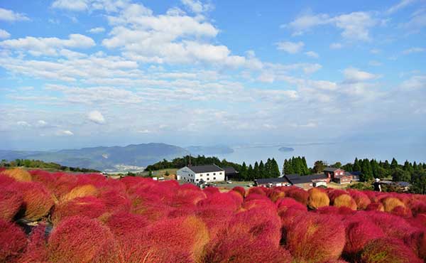 びわこ箱館山 グリーンシーズン 琵琶レイクオーツカ 湖畔の宿